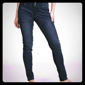 Gray Wash Suzanne Betro Skinny Jeans - Plus